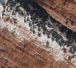 Bei einem schönen Spaziergang auf Helgoland