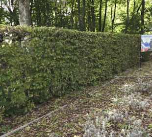 Italienischer Garten
