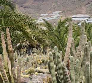 Kakteenpark