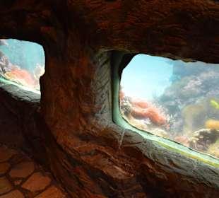 Aquarium im Schwimmbad
