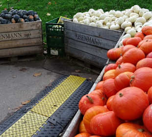 Kürbisausstellung
