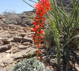Flug zum Grand Canyon