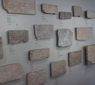 Rheinisches Landesmuseum