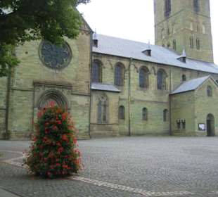 Nördliches Querschiff + Petrikirchhof