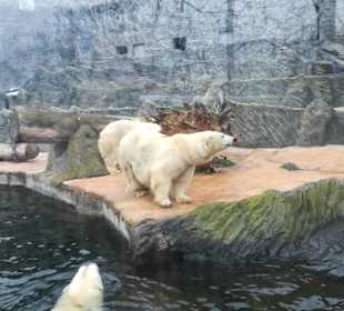 Zoo Besuch Prag