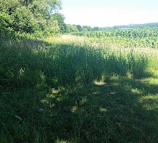 Da geht es auch nicht weiter