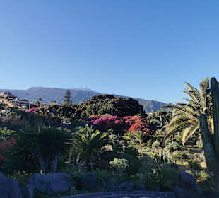 Wandern Puerto de la Cruz