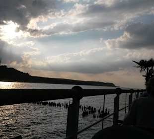 Seebrücke Heringsdorf