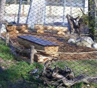 Begehbare Vogelvoliere