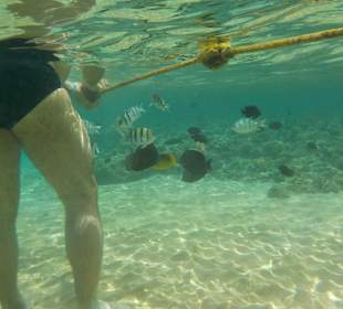 Hausriff mit Absperrung 