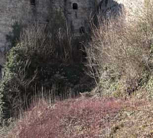 Burg Hohenurach