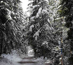 Die gut gepflegten Wege laden zum Wandern ein