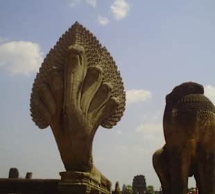 Naga am Eingang zum Angkor Wat
