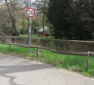 Schlossgarten Karlsruhe