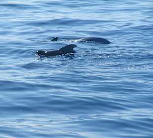 Widoki w trakcie rejsu