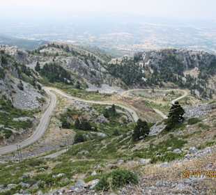 Die Strasse Richtung Hütte