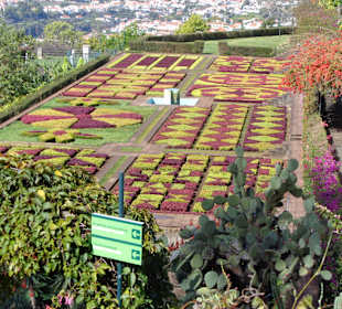 Botanischer Garten einer davon