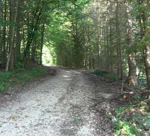 Premiumwanderweg "hochgesprudelt"