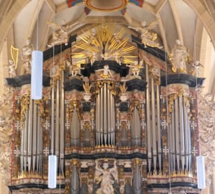 In der Severikirche in Erfurt