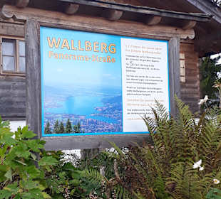 Wallberg