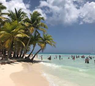 Saona