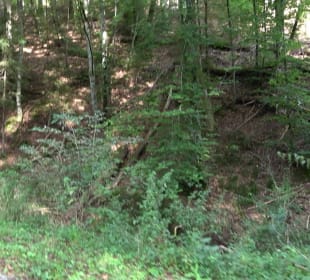 Hummelklingensee Walddorf