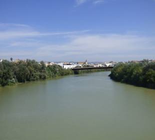 Blick von der Brücke