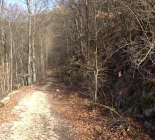 Buckfelsen