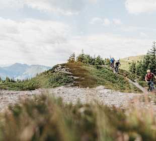 Sport & Freizeit