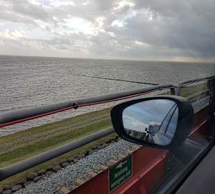 Naturschutzgebiet Ellenbogen