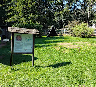 Wildpark Osterzgebirge