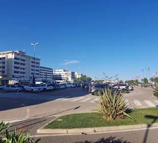 Gesamtüberblick Zenith