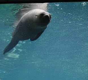 Zoo am Meer Bremerhaven