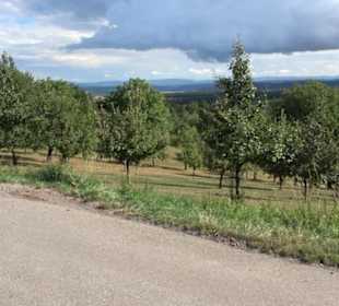 Naturschutzgebiet Grafenberg Kayh