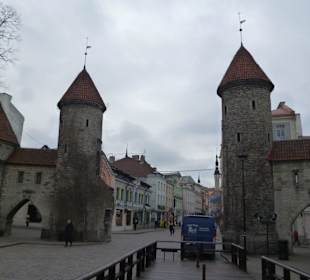 Bramy starego miasta - Viru