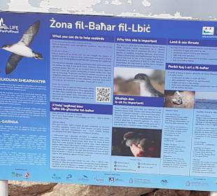 Dingli Cliffs in Dingli