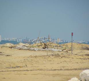 Strand von Bibione 06-2010