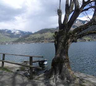 Zeller See