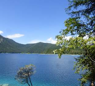 Bei einer Wanderung bei Grainau