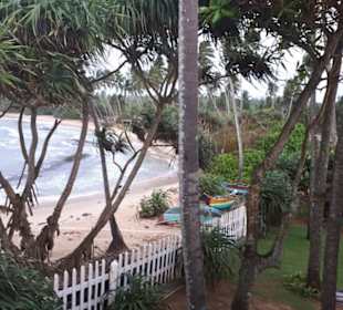 Standfeeling in Dickwella