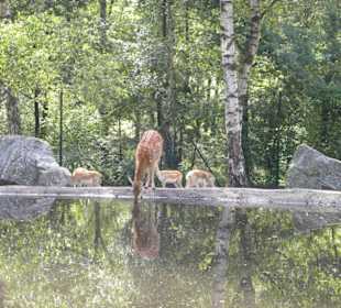 Serengeti Park Hodenhagen