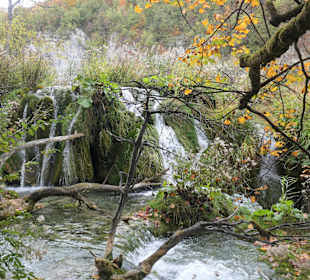 Im Nationalparks Plitvicka Jezera (Plitvicer Seen)