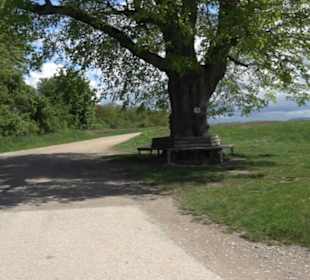 Bodelshausener Geschichtspfad