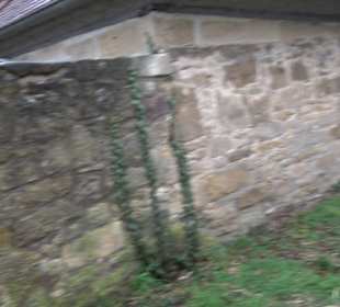 Martinskirche Mittelstadt
