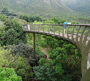 Weg über den Bäumen