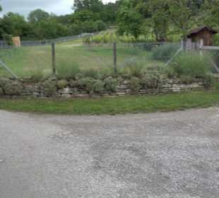 Wanderweg - Alter Steinbruch Pfaffenberg Runde