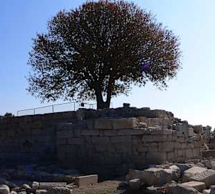 Teos: Antike Ausgrabungsstätte