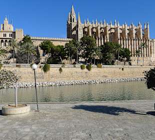 Katetrale in Palma