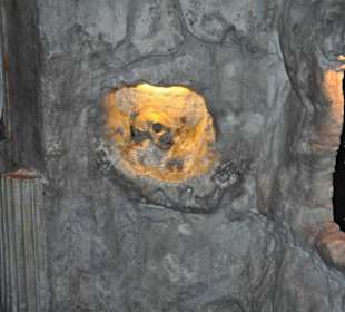 Tropfsteinhöhle von Gibraltar