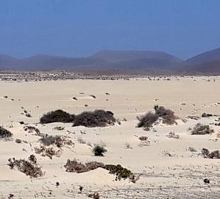 Dünen von Corralejo